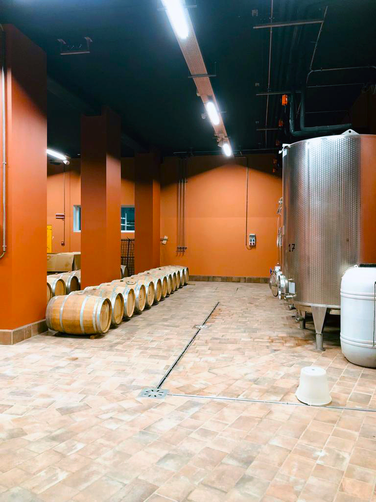 Enlargement of the Winery and wellness